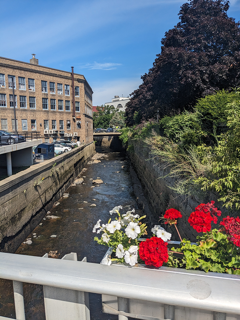 Downtown Bangor photography by Daisy